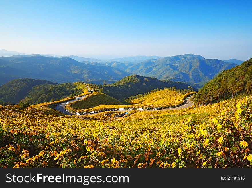 View point in the morning at Doi Mae U-Kor, Mae Ho