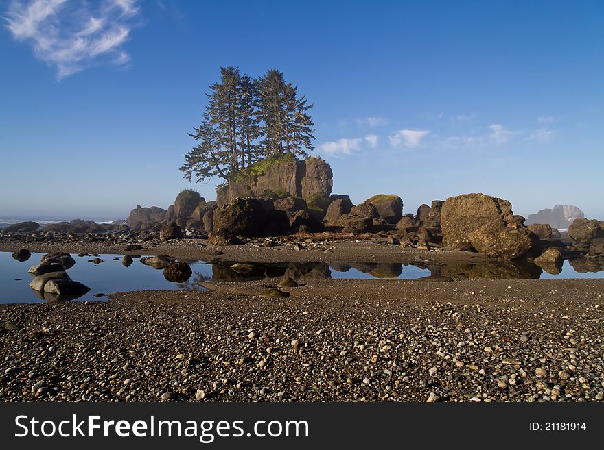 Landscape view off the West Coast Trail on the Vancouver Island at Low Tide