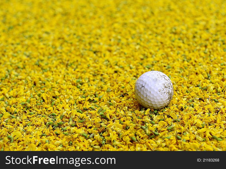 A golf ball in the park with yellow flower