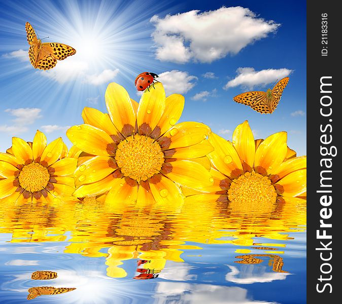 Sunflowers with the sun, water, butterflies and ladybird