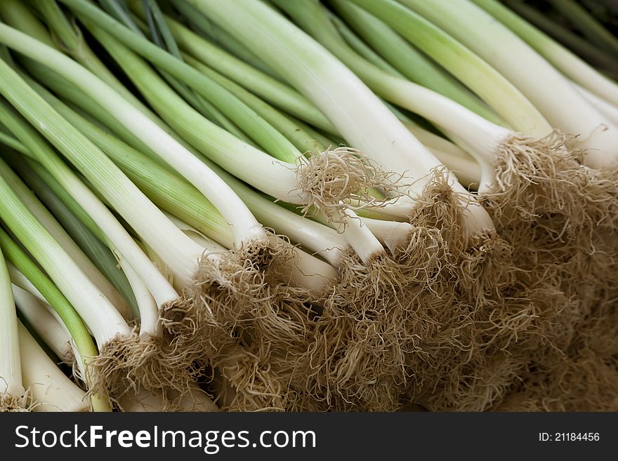 Close up shot of fresh spring onions at the market. Natural light, shallow focus.