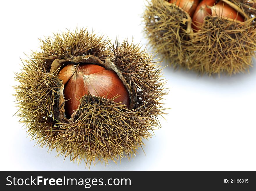 I took few chestnuts in a white background.