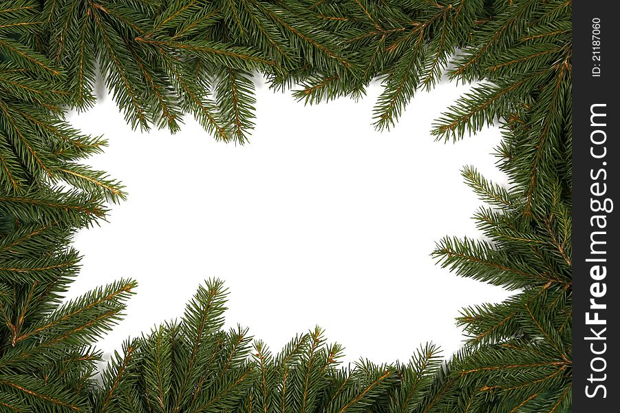 Frame from green twigs of the spruce. Frame from green twigs of the spruce