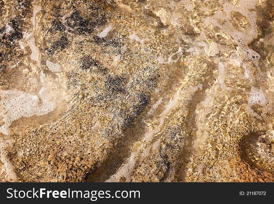 Sea Coral and Rock under shallow pool of water for textured effect. Sea Coral and Rock under shallow pool of water for textured effect