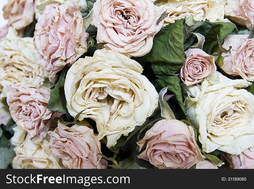 Dried roses in the background