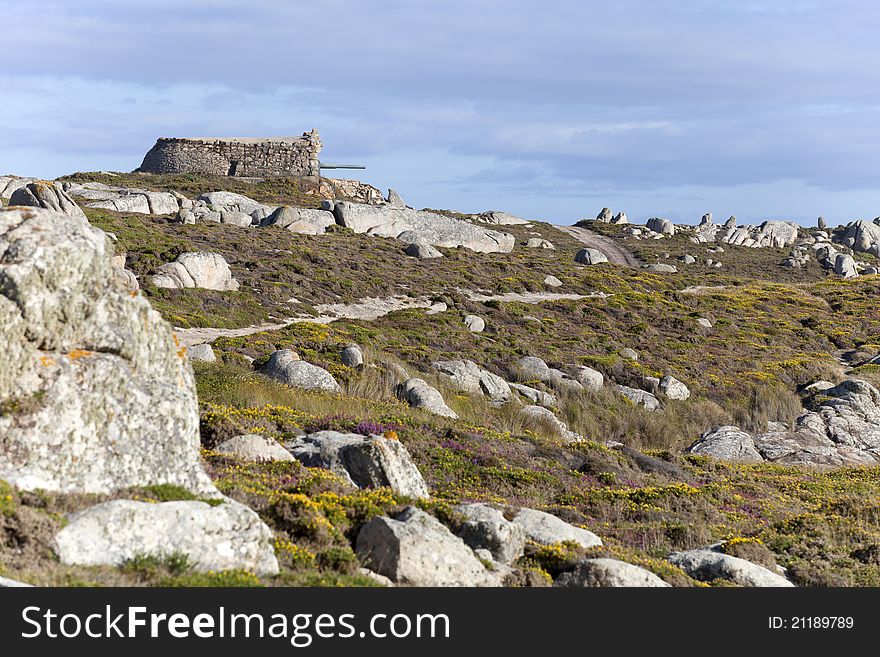 Old gun machine in nature landscape