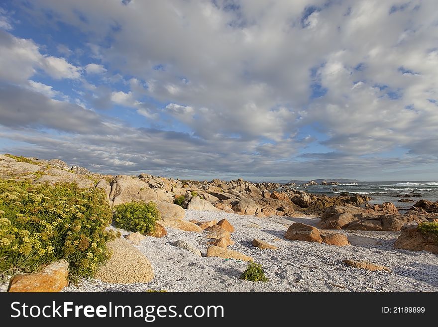 Bright ocean stone coast and blue sky