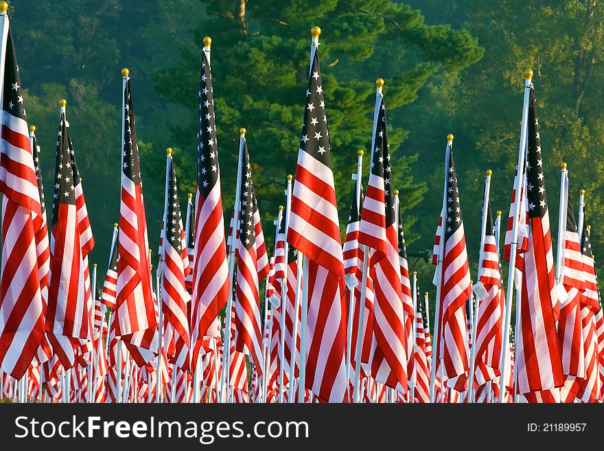 Flags set in a row as part of the healing fields for 9/11/2011 in Grand Rapids Michigan. Each flag was designed to represent a person who died in the terrorist attacks on 9/11/2001. Flags set in a row as part of the healing fields for 9/11/2011 in Grand Rapids Michigan. Each flag was designed to represent a person who died in the terrorist attacks on 9/11/2001.