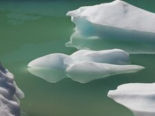 Floating Ice Stock Image Floating Ice Stock Image
