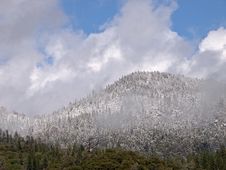 Late Spring  Snow Storm In Yosemite Valley. Royalty Free Stock Photos