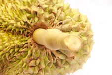 Durian Fruit Stock Photo Durian Fruit Stock Photo