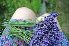 Bunch Of Lavender Flower On The Skirt Royalty Free Stock Image Bunch Of Lavender Flower On The Skirt Royalty Free Stock Image
