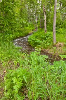 Meandering River In Forest Stock Images Meandering River In Forest Stock Images