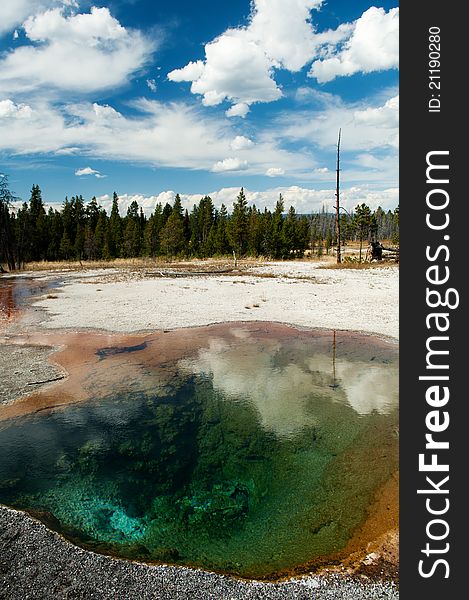 A hot spring in Yellowstone National Park. A hot spring in Yellowstone National Park