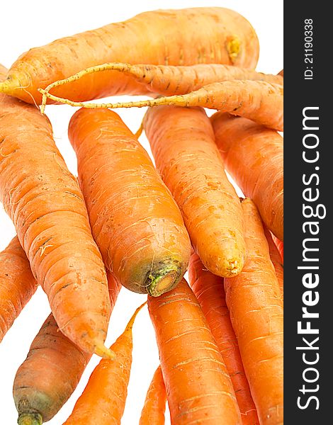 Carrot - a close up