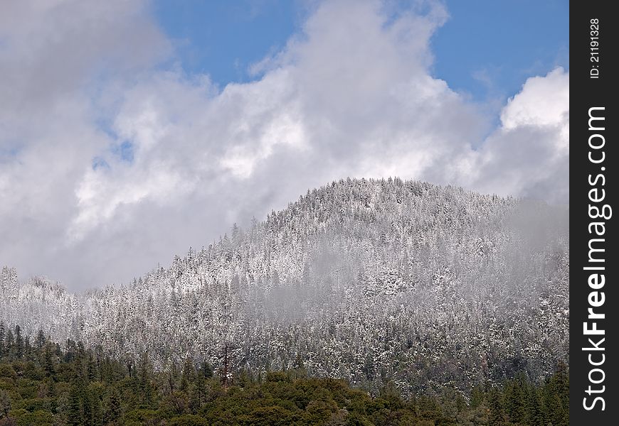 Clearing snow storm in yosemite valley,california,april 2010. Clearing snow storm in yosemite valley,california,april 2010.