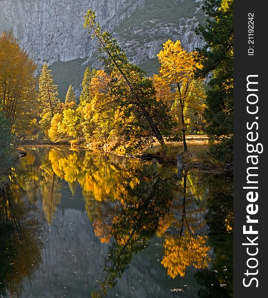 Fall colored forest reflection over the river