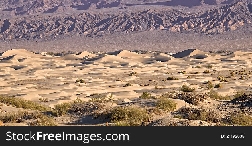 Death valley mesquite sand dunes
