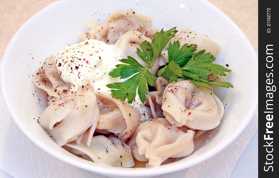 Meat dumplings with spices on the plate