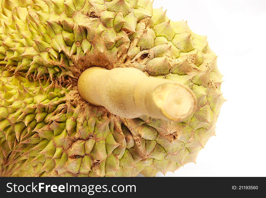 Durian fruit