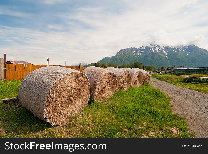 Closeup view of rolled dried hay with mountain background. Closeup view of rolled dried hay with mountain background.