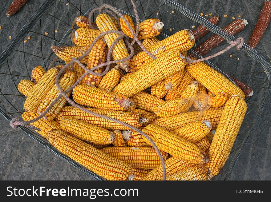 Dry corns in a basket