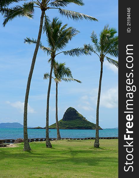 A verdant green rock formation off the coast of Oahu, Hawaii. A verdant green rock formation off the coast of Oahu, Hawaii