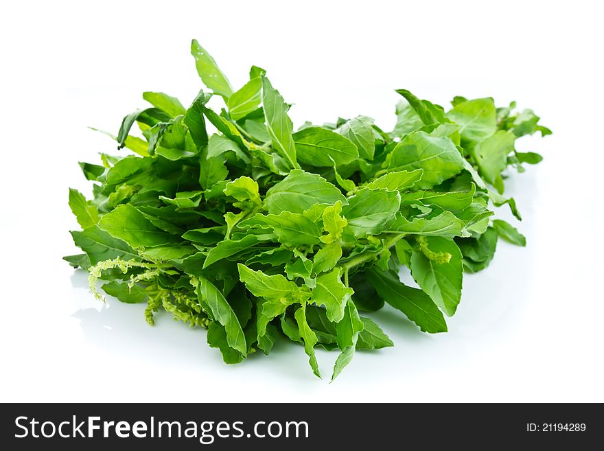 Bunch of basil on white background