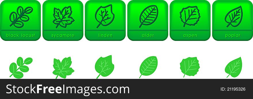 Set of assorted symbols of tree leaves