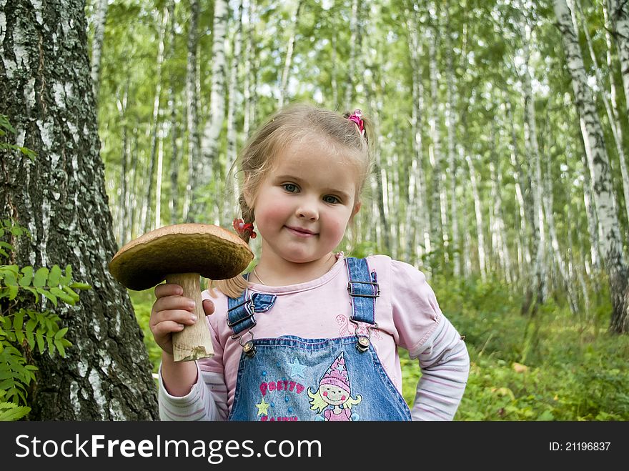 The child in wood collects mushrooms birch mushrooms. The child in wood collects mushrooms birch mushrooms