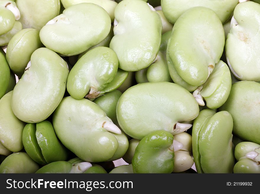 Close-up of fresh green broad beans.