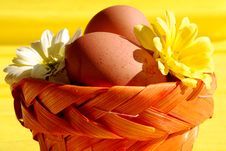 Eggs And Flowers In Basket Royalty Free Stock Photography Eggs And Flowers In Basket Royalty Free Stock Photography