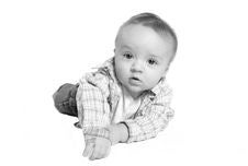 Learning To Crawl Stock Photos