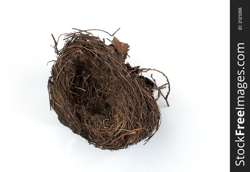 Birds Nest on a white background