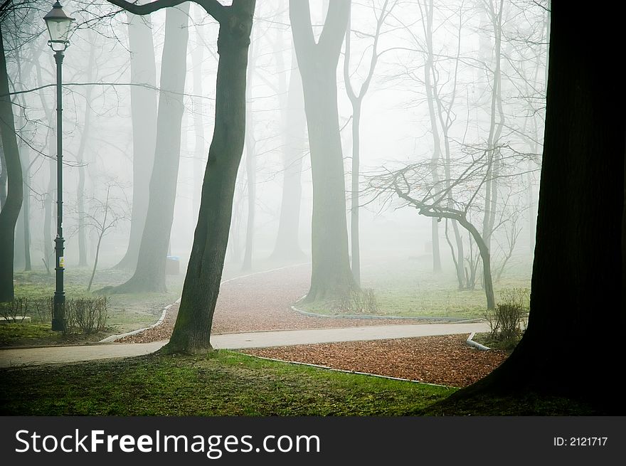 Park In The Fog