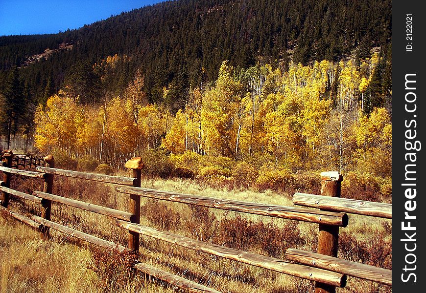 Rural country Autumn scenic landscape with fall colors