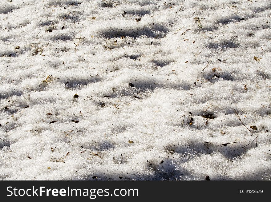 Background Of Melted Snow