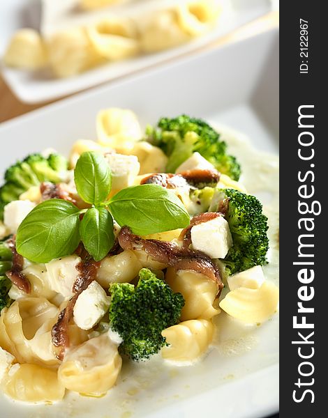 Tasty macaroni with vegetables and basil on the white plate