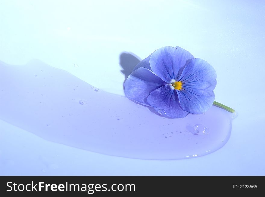 Azure violet on azure liquid dropping. Azure violet on azure liquid dropping