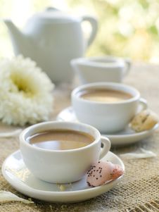 Coffee Stock Photos Coffee Stock Photos