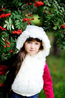 Cute Little Girl In Fur Coat Under Rowan Tree Stock Image
