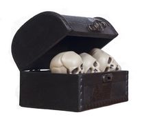 Human Skulls In A Wooden Chest Stock Image Human Skulls In A Wooden Chest Stock Image