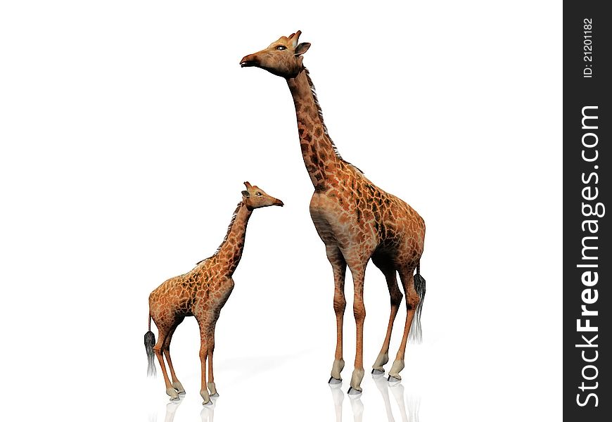 The giraffe and baby giraffe