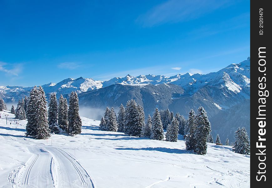 Winter In Alps