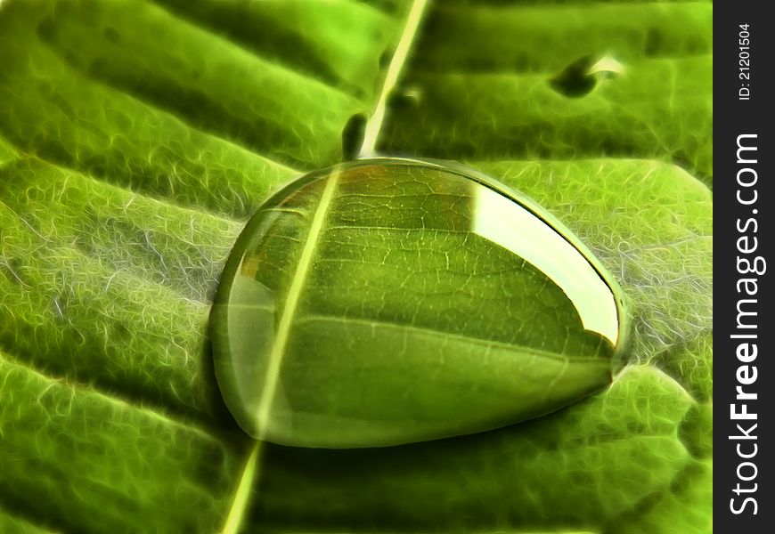 Water bubble on a leaf. Water bubble on a leaf
