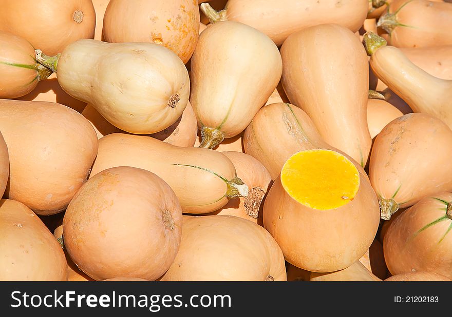 Colorful Pumpkins