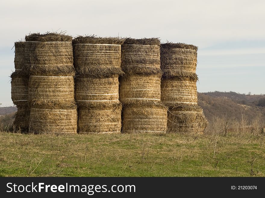 Golden Hay Bales on green grass