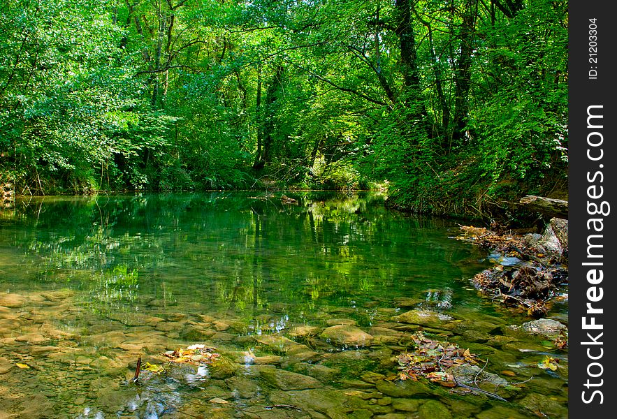 River in autumn forest