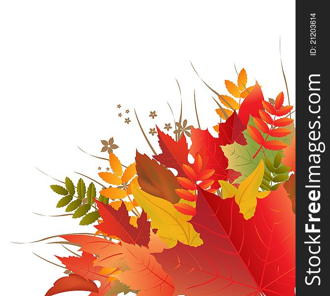 Autumn Background, Isolated On White Background, Vector Illustration