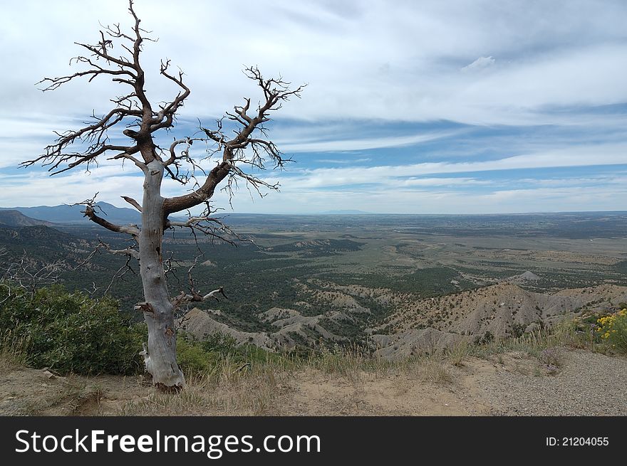 A view from the plateau of the mesa verde in the US state colorado